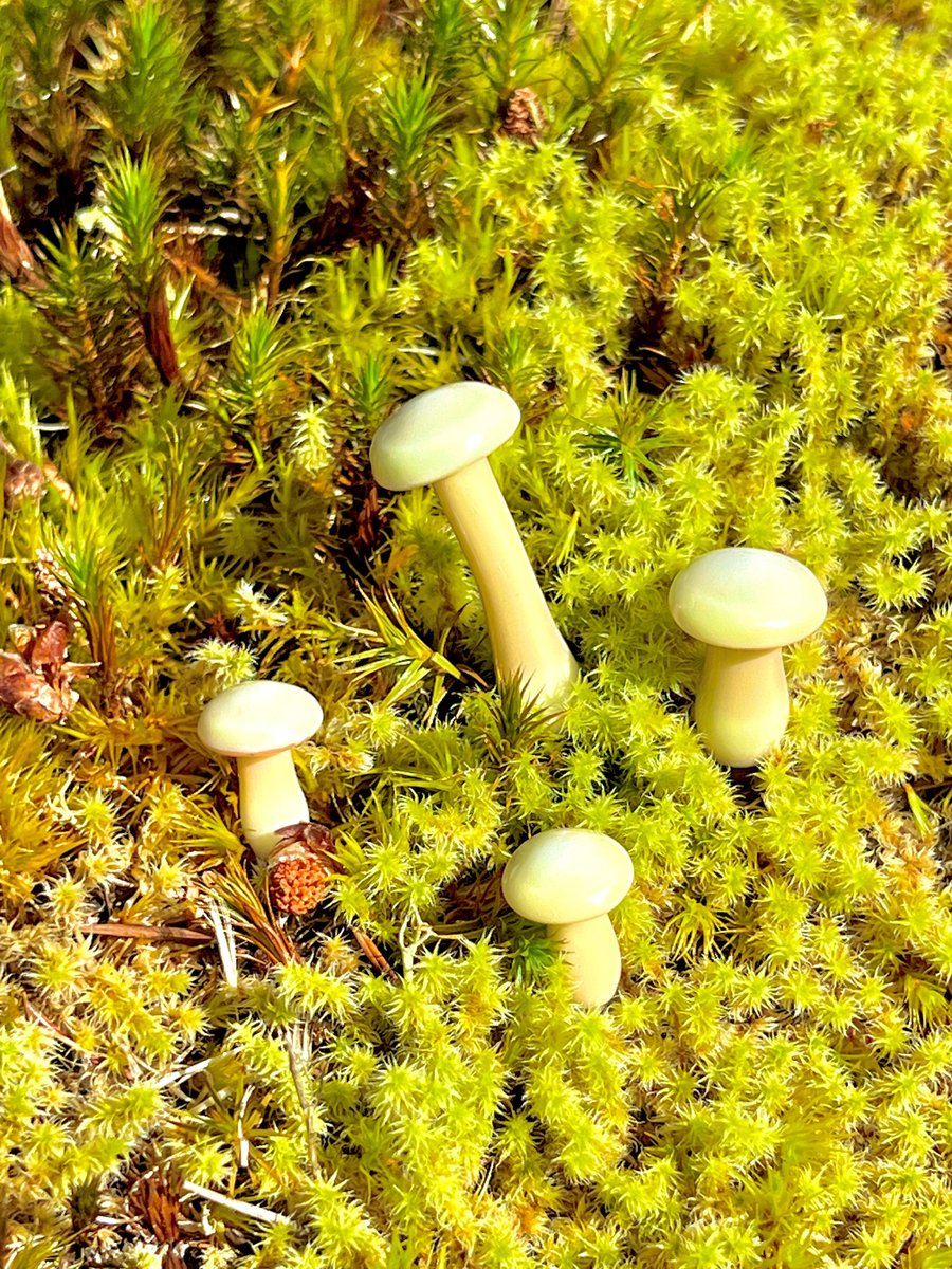 Image of 4 Tan Mushroom Plant Spikes