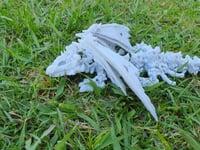 Image 6 of Hollow Dragons with Wings