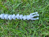Image 8 of Hollow Dragons with Wings
