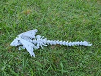 Image 9 of Hollow Dragons with Wings