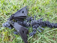 Image 14 of Hollow Dragons with Wings