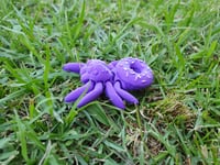 Image 2 of Mini Spiders