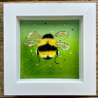 Image 2 of 'Bumble Flight'