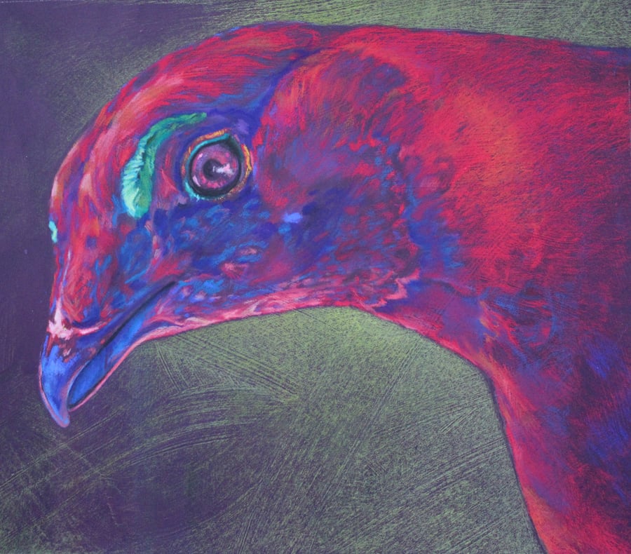 Image of Sooty Grouse - Red