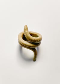 Image 1 of RAW RING 02