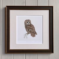 Image 2 of TAWNY OWL ART PRINT