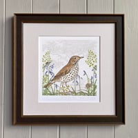 Image 3 of HAND DRAWN SONG THRUSH SIGNED ART PRINT