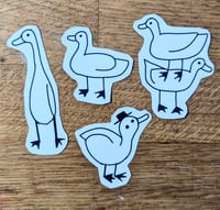 Duck Sticker Pack