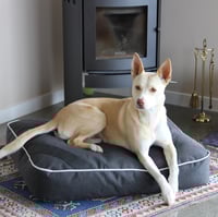 Image 1 of Slate Pet Bed
