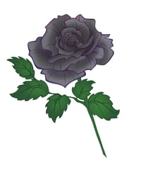 Black Rose