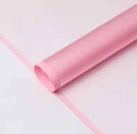 Pink Outline Clear Floral Paper 