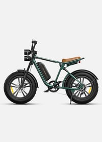 ENGWE M20 Electric Bike