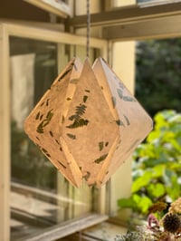 Image 3 of Stínidlo z kapradin – závěsná lampa