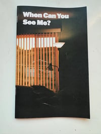 WHEN CAN YOU SEE ME? zine