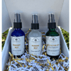Magikal Mist Sampler Gift Bundle