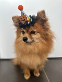 Image 2 of Mini Halloween Hair Clip Orange Pumpkin with lights