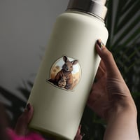 Image 1 of Wallaby