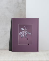 Magical Magnolia
