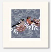 Image 4 of BULLFINCH ART PRINT