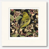 Image 4 of HAND DRAWN SISKIN SIGNED ART PRINT