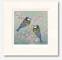 Image 4 of HAND DRAWN BLUE TIT SIGNED ART PRINT