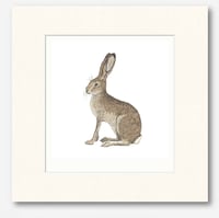 Image 4 of HAND DRAWN HARE SIGNED NATURE PRINT