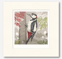 Image 4 of HAND DRAWN WOODPECKER SIGNED ART PRINT