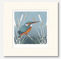 Image 5 of KINGFISHER  ART PRINT