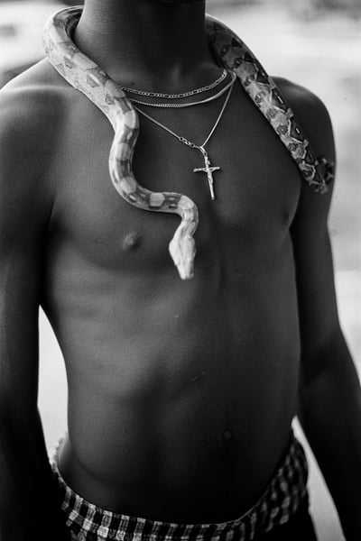 Image of Open Edition Print: New Jersey #6 (Snake & Crucifix, Elmer, New Jersey, 1996).