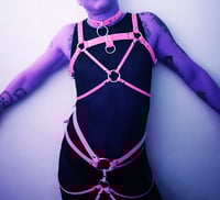 Image 3 of Custom Harness Deposit