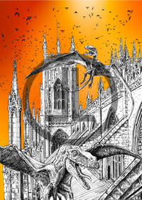 Image 2 of 'Birds of Prey' - Limited edition signed print