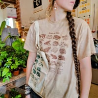 Image of World of Frogs tee