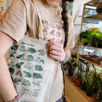 Image of World of Frogs tote bag