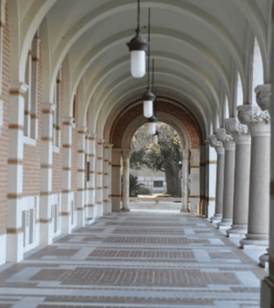 Image of Rice University Signature Session