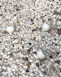 Image 6 of Seashell Porcelain Cups