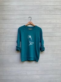 Image of Owl Pullover, All Cotton