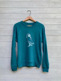 Image of Owl Pullover, All Cotton