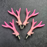 Image 3 of LIMITED EDITION Pink Antlers!