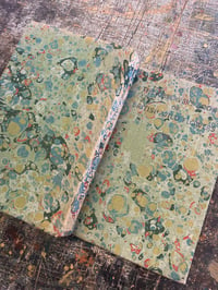 Image 2 of Hand Marbled Observer's Book - 'British Wild Flowers'