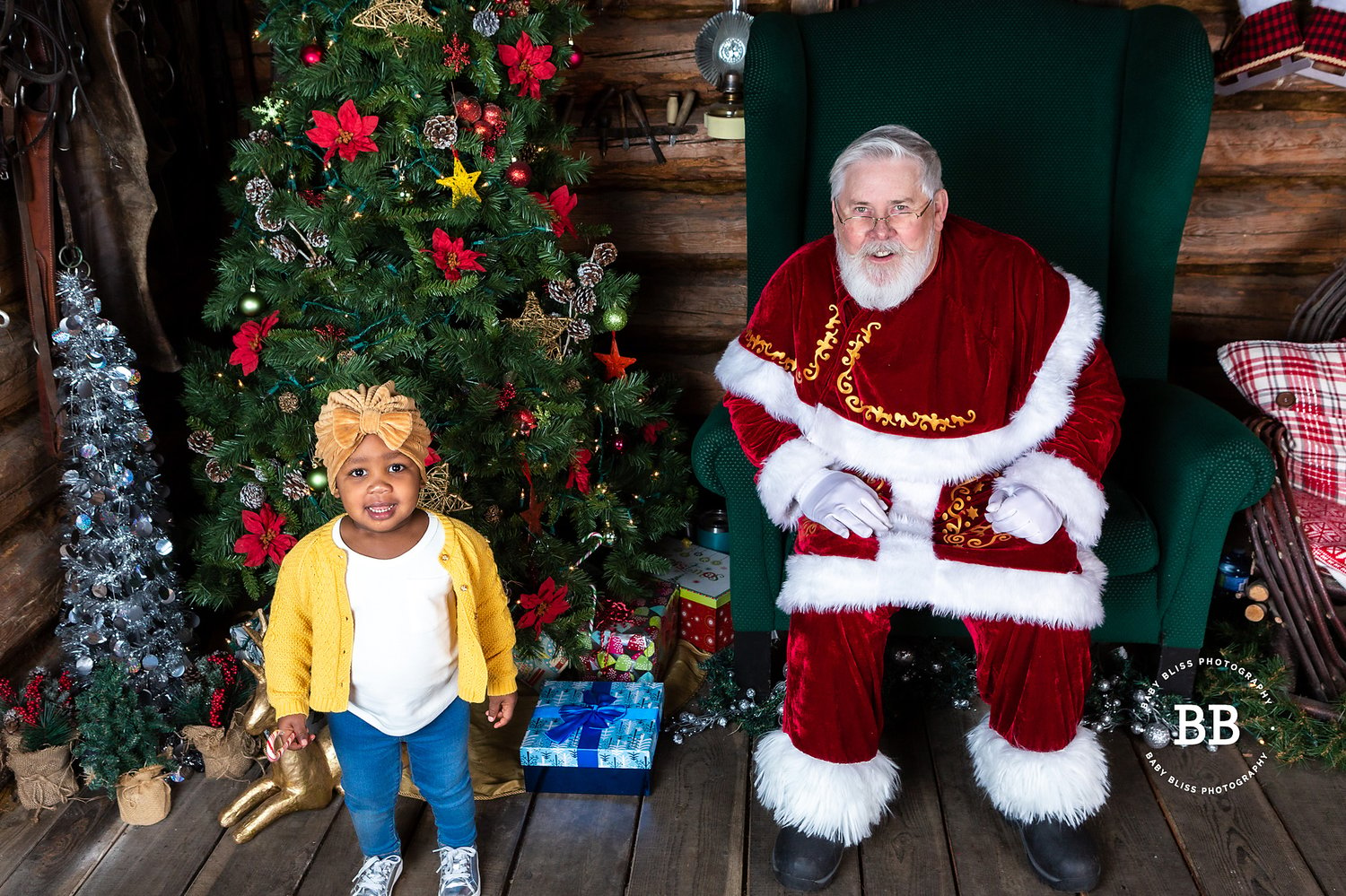 Image of MINI Portrait Session with Santa, Saturday November 16, 2024