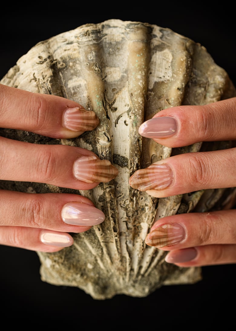 Image of Scallop Nails