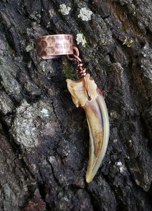 Image of Badger Claw Ear Cuff