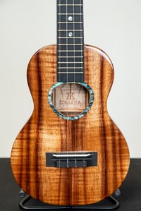 Image 2 of Shop Order KoAloha KCMR-00 Curly Koa Rosette Walnut Concert Gloss