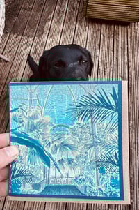 Image 4 of Set of 4 square greetings cards by Jon Mackay