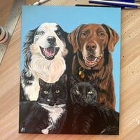 11 x 14 Pet Portrait