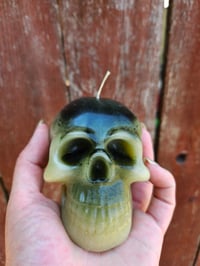 Unscented Beeswax Skull