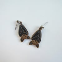 Image 2 of Bats