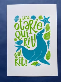 Image 4 of Une otarie qui rit qui rit !