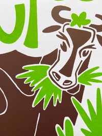 Image 2 of Une vache qui mache