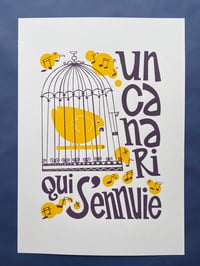 Image 4 of Un canari qui s'ennuie